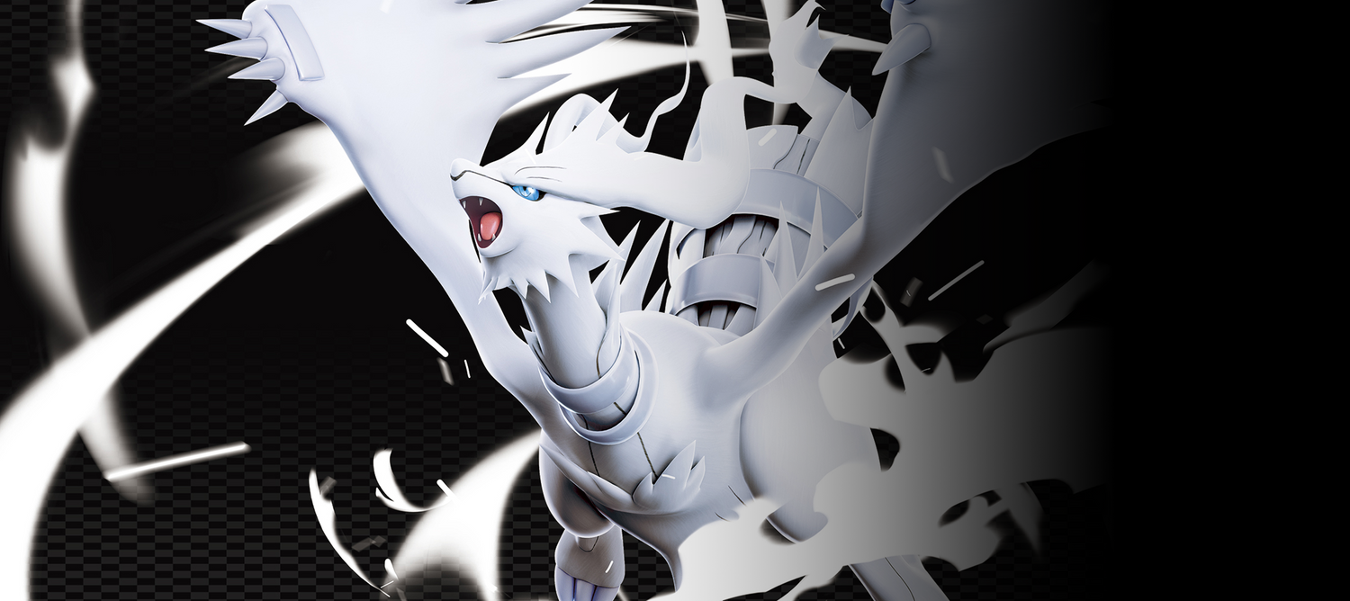 Pokémon Black Bolt & White Flare