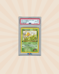 PSA 10 - Koga's Weedle First Edition #82 - Gym Challenge